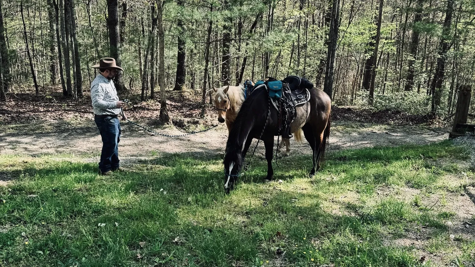 Caleb with two horses on a wooded trail